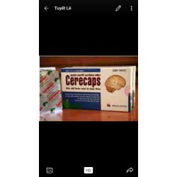 HOẠT HUYẾT DƯỠNG NÃO CERECAPS