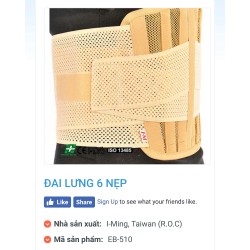 đai cột sống 6 nẹp