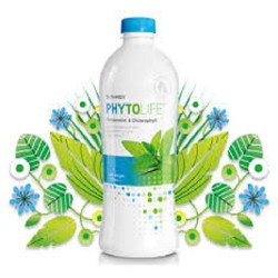 Nước diệp lục Synergy Chlorophyll - thucphamchucna...