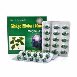 Ginkgo biloba 120mg MagneB6 Cải thiện trí nhớ và c...