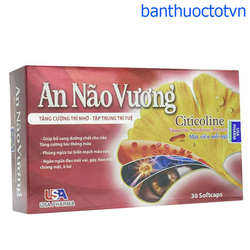 An Não Vương - An Não Vương Usa - Hoạt Huyết Dưỡng...