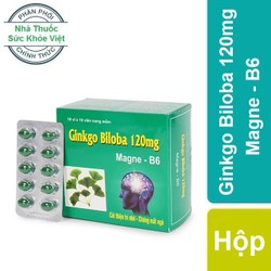 Viên Uống Tuần Hoàn Não Ginkgo Biloba 120mg