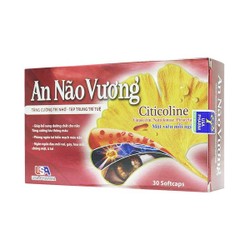 An Não Vương
