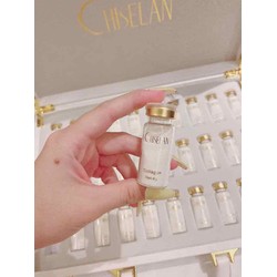 Collagen Yến Chiselan