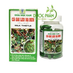 Combo 6 hộp cà gai leo xạ đen Milk Thistle