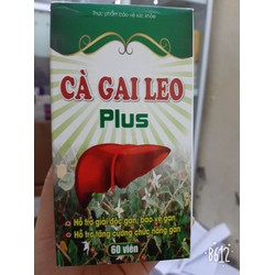 BỔ GAN CÀ GAI LEO PLUS