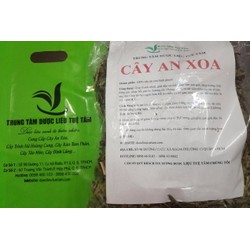 Cây an xoa .HOA MÀU TÍM