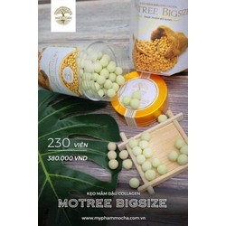 Mầm Đậu Nành Tăng Size Vòng 1 Mocha