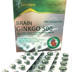 BRAIN Ginkgo 500 Giúp hoạt huyết tăng cường lưu th...