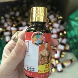 Tăng Cân Wisdom Weight - INDONESIA