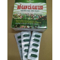 COMBO 2 HỘP VIÊN UỐNG BỔ GAN CÀ GAI LEO - GIẢI ĐỘC...