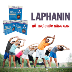Laphanin: Giải độc gan, bảo vệ gan, hạ men gan
