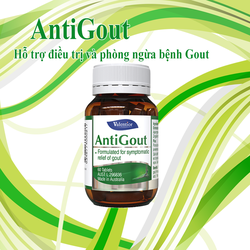 AntiGout hỗ trợ điều trị và phòng ngừa bệnh Gout