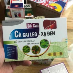 Cà Gai Leo Xạ Đen Bổ gan, bảo vệ tế bào gan, giải...