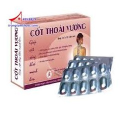 CỐT THOÁI VƯƠNG – HỖ TRỢ ĐIỀU TRỊ VÀ PHÒNG NGỪA TH...