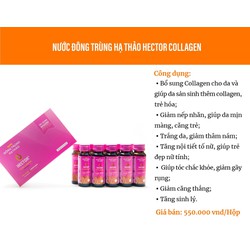 Combo 3 Hộp 30 chai Nước Uống Đông Trùng Hạ Thảo H...