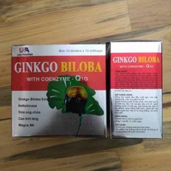 Hoạt huyết dưỡng não, bền thành mạch Ginkgo biloba...