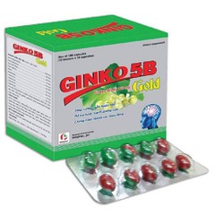 Giúp bổ khí huyết, tăng cường tuần hoàn não GINKO...