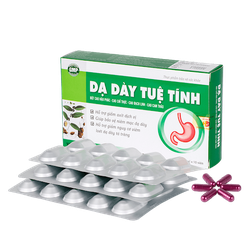 Hỗ trợ giảm bệnh đau dạ dày cấp và mãn tính- DẠ DÀ...