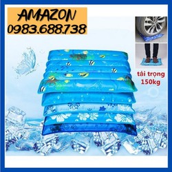 Đệm nước lót ghế 45x 45cm