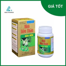 Kim Tiền Thảo Râu Mèo DHG – Phòng ngừa và suy giảm...