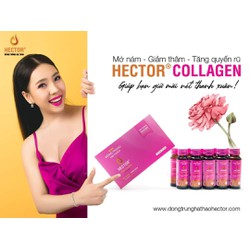 đông trùng hạ thảo HECTOR COLLAGEN