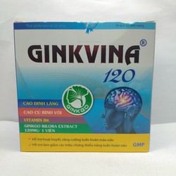 Viên Uống Bổ Não Ginkvina 120 - Hộp 100 Viên
