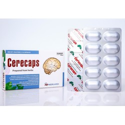 HOẠT HUYẾT DƯỠNG NÃO CERECAPS (hộp 30 viên)