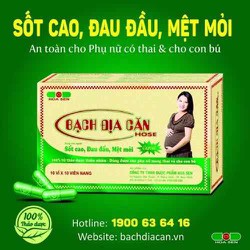 bạch địa căn