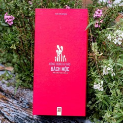 Đông Trùng Hạ Thảo Bách Mộc ( Hộp 30gr )
