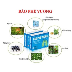 BẢO PHẾ VƯƠNG – DÙNG CHO NGƯỜI KHÓ THỞ, HO KHAN, H...