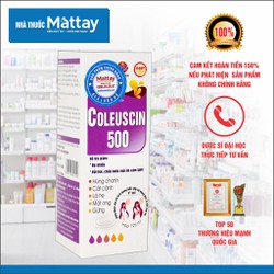 Coleuscin 500 - Vạn Tam - Chai 125ml - Bổ Phế, Giả...