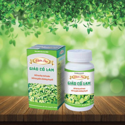Giảo cổ lam thiên bảo giúp hỗ trợ hạ mỡ máu giảm đ...