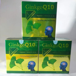 Ginkgo Q10 bổ sung dưỡng chất cho não tăng khả năn...
