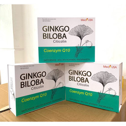 Ginkgo biloba giúp hoạt huyết dưỡng não bền thành...