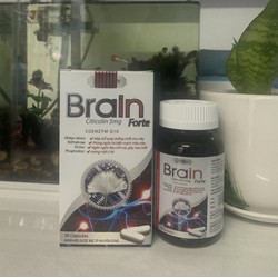 Brain Fort Giúp bổ sung dưỡng chất cho não, phòng...