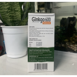 (SP HIỆU QUẢ) (Chính Hãng) Ginkgo 600 with Coenz...