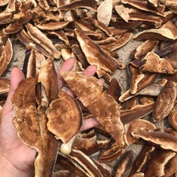 Nấm Linh Chi Khô, thái Lát