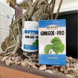 Ginko pro ( lọ 30 viên)