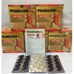 (Chính Hãng) Vitamin tổng hợp phamagel plus bồi...