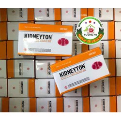 [Mua 10 tặng 1] Kidneyton Lục Vị - Bổ thận âm OPC