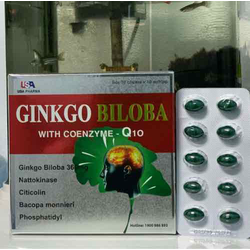 Hoạt huyết dưỡng não, bền thành mạch Ginkgo biloba...