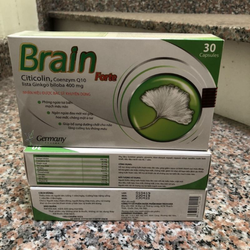 BRAIN FORT tăng cường tuần hoàn máu lên não, giúp...