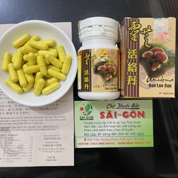 [Sỉ 60 hộp] Linh Chi Hoạt Lạc Đơn Malaysia - Hộp 3...