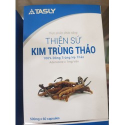 THIÊN SỨ KIM TRÙNG THẢO