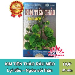 Kim Tiền Thảo Râu Mèo – Giảm Sỏi Thận Giúp Lợi Tiể...