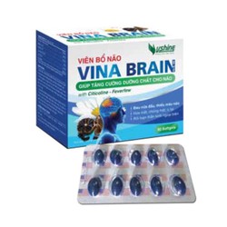 VIÊN BỔ NÃO VINA BRAIN New - TĂNG CƯỜNG DƯỠNG CHẤT...