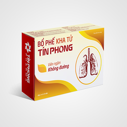 Bổ Phế Kha Tử Tín Phong hộp 2 vỉ - giảm ho, long đ...