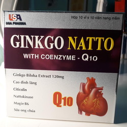 GINKGO NATTO