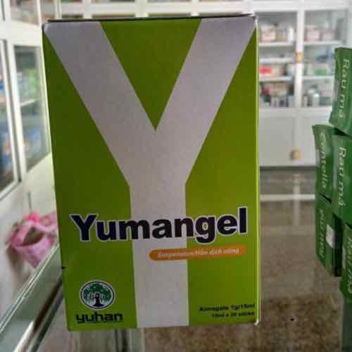 Sữa Dạ Dày Chữ Y- Yumangel - Hồ Sơ Sức Khỏe